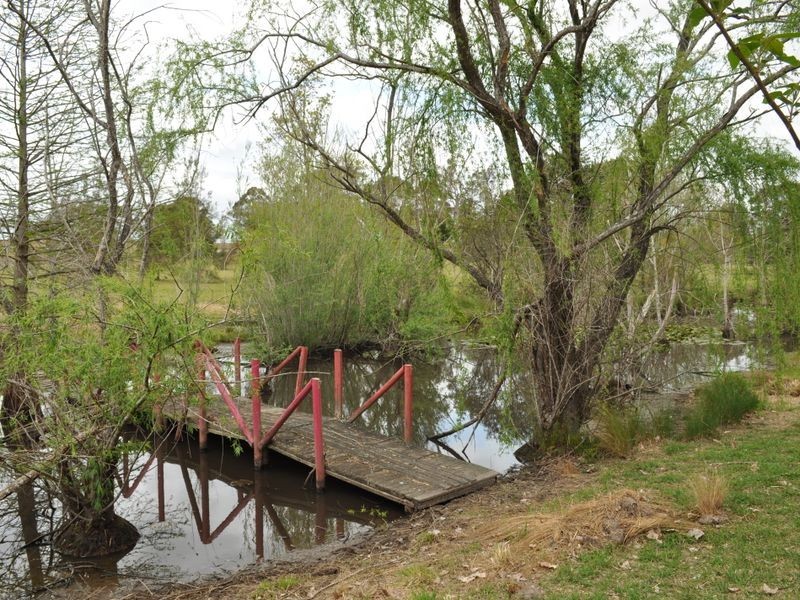 Wingham NSW 2429