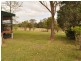 Wingham NSW 2429