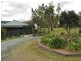 Wingham NSW 2429