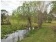 Wingham NSW 2429