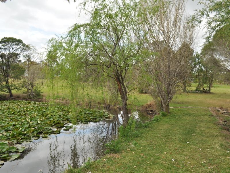 Wingham NSW 2429