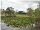 Wingham NSW 2429