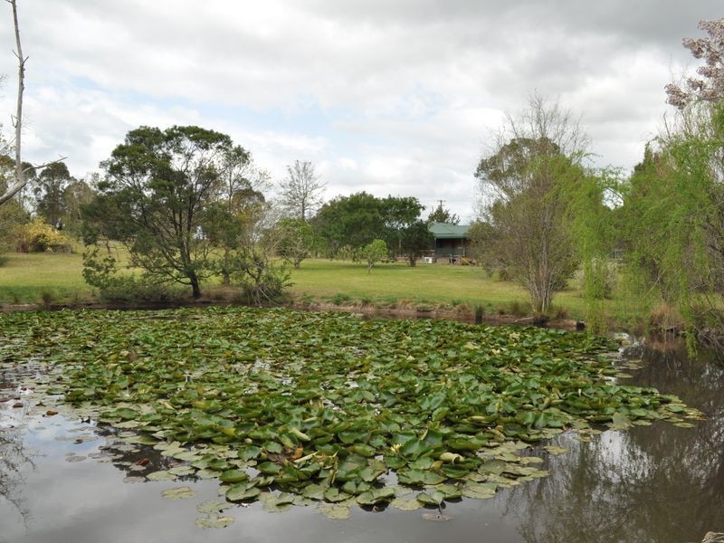 Wingham NSW 2429