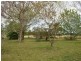 Wingham NSW 2429