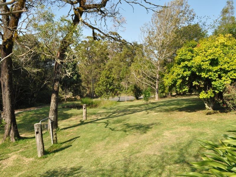 Elands NSW 2429