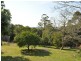 Elands NSW 2429