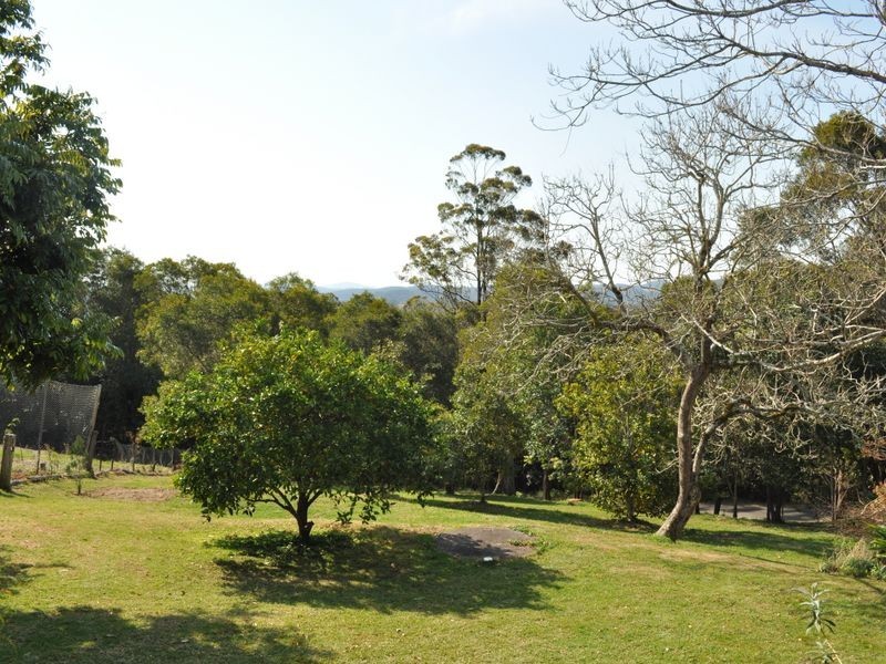 Elands NSW 2429