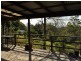 Elands NSW 2429