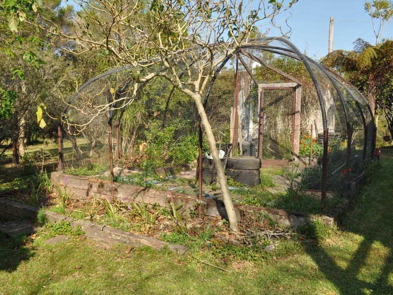 Elands NSW 2429