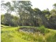Elands NSW 2429
