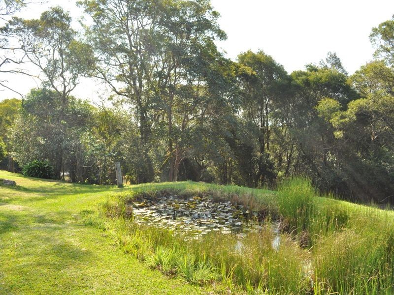 Elands NSW 2429
