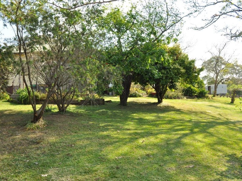 Elands NSW 2429