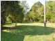 Elands NSW 2429