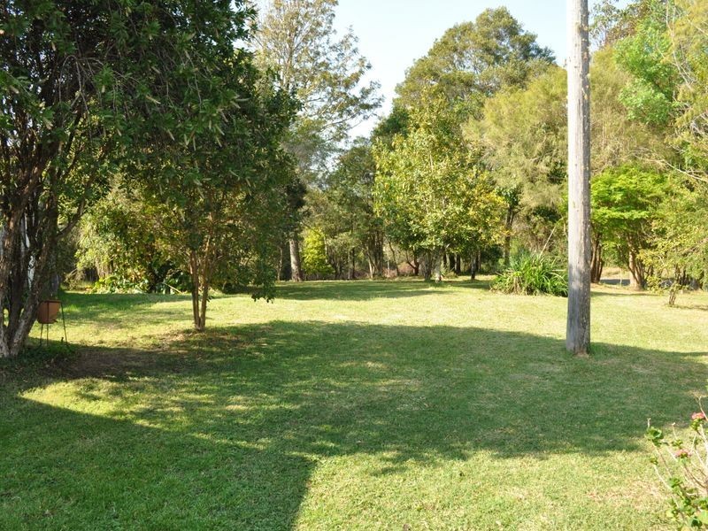 Elands NSW 2429