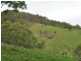 Wherrol Flat NSW 2429