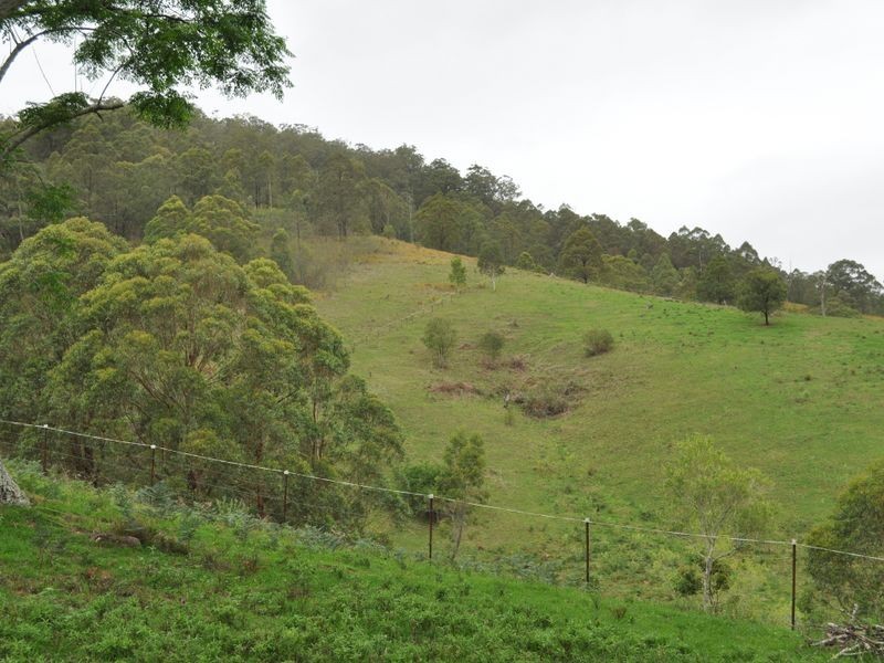 Wherrol Flat NSW 2429