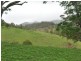 Wherrol Flat NSW 2429