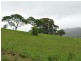 Wherrol Flat NSW 2429