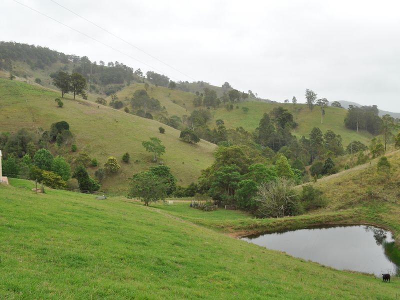 Wherrol Flat NSW 2429