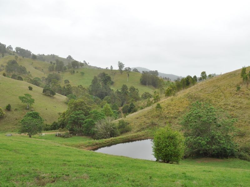 Wherrol Flat NSW 2429