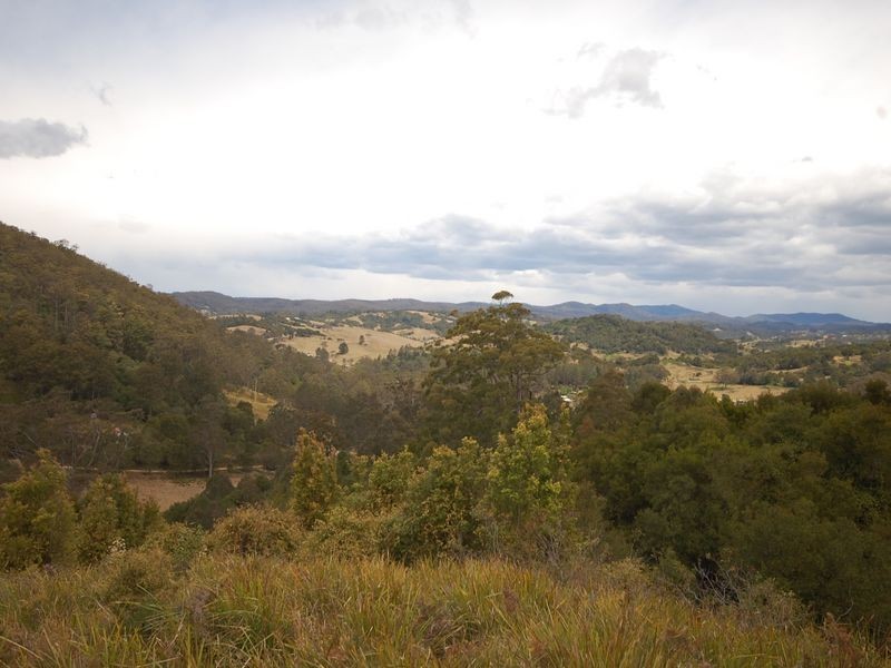 Elands NSW 2429