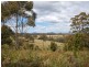 Elands NSW 2429