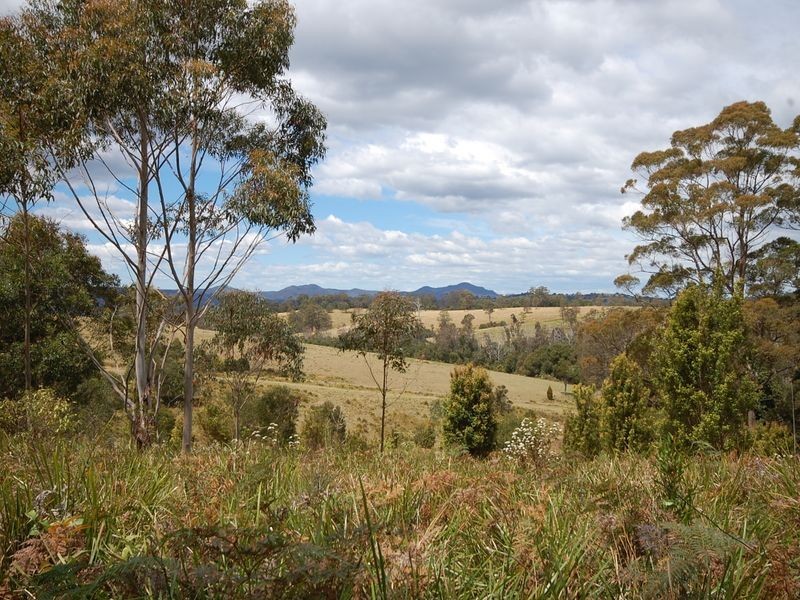 Elands NSW 2429