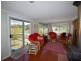 Elands NSW 2429