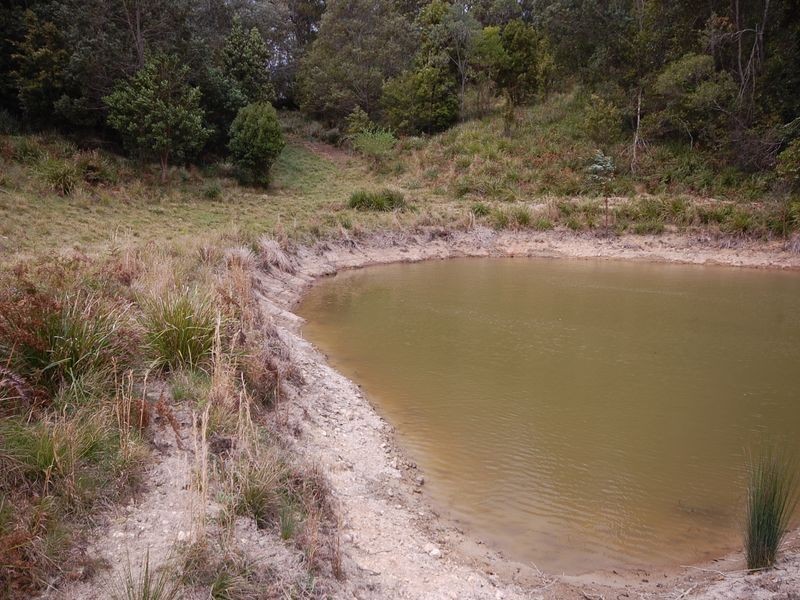 Elands NSW 2429