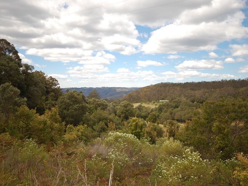Elands NSW 2429