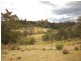 Elands NSW 2429