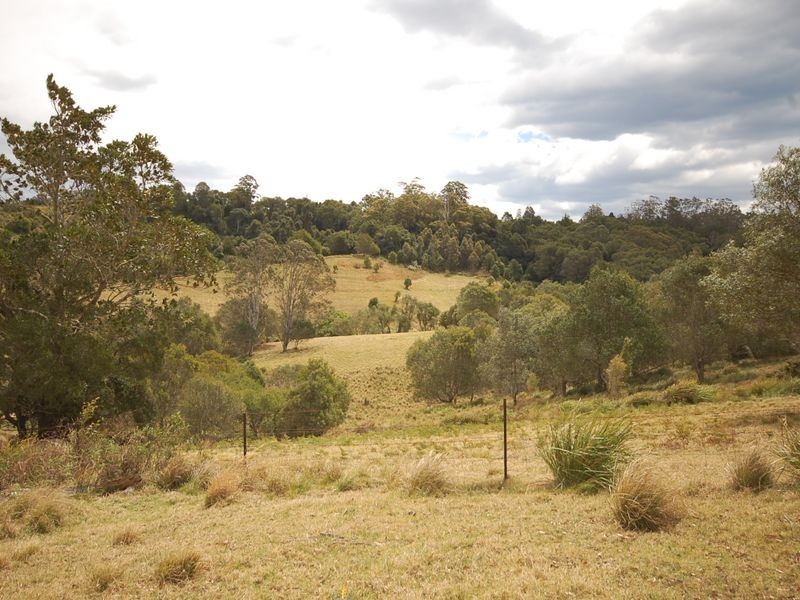 Elands NSW 2429