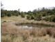 Elands NSW 2429