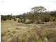 Elands NSW 2429