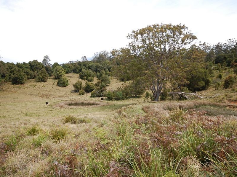 Elands NSW 2429