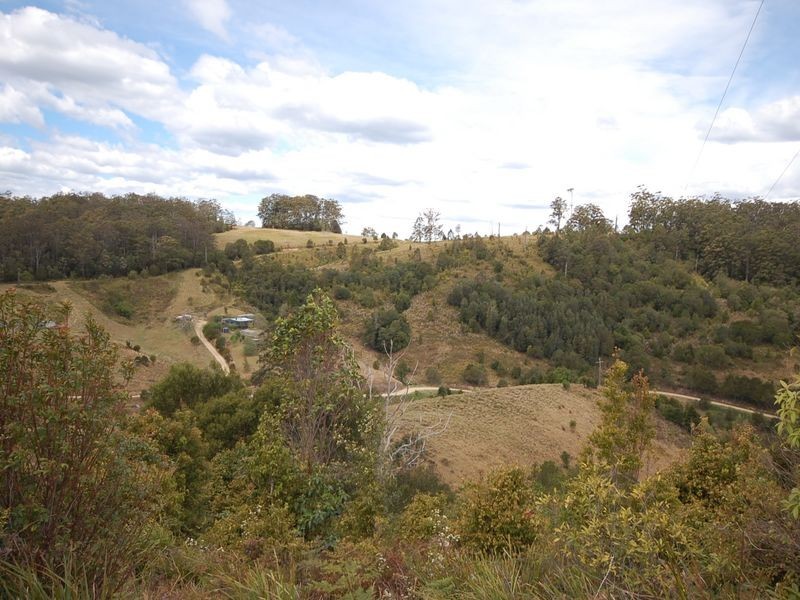 Elands NSW 2429