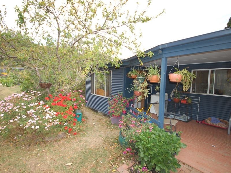 Elands NSW 2429
