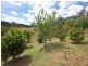 Elands NSW 2429