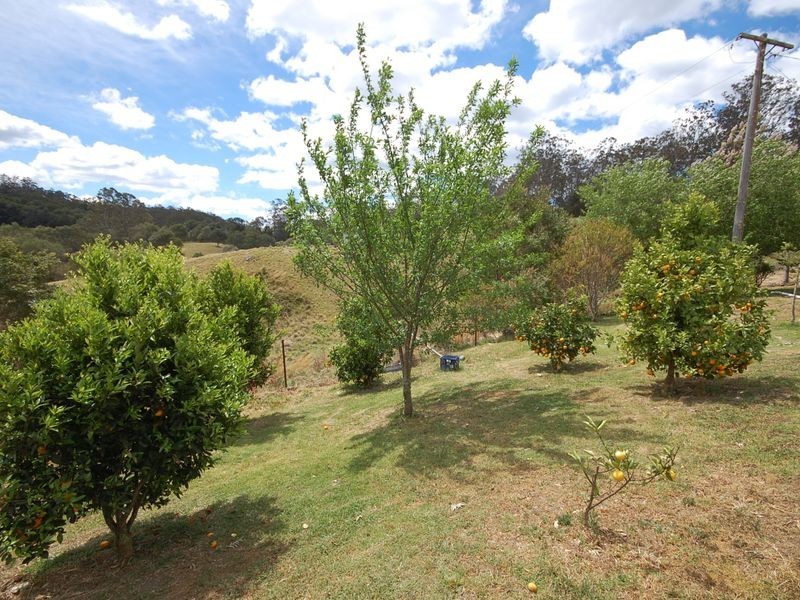 Elands NSW 2429
