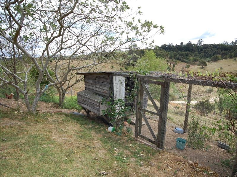 Elands NSW 2429