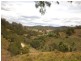 Elands NSW 2429