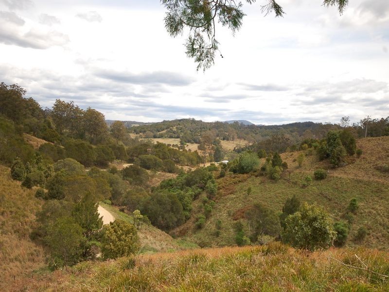 Elands NSW 2429