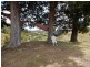 Elands NSW 2429