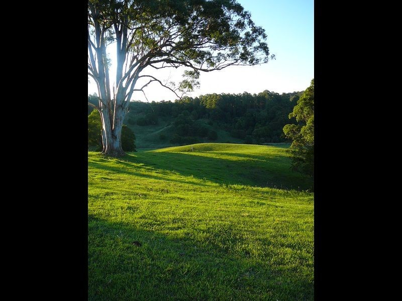 247 West Bulga Road, Elands NSW 2429