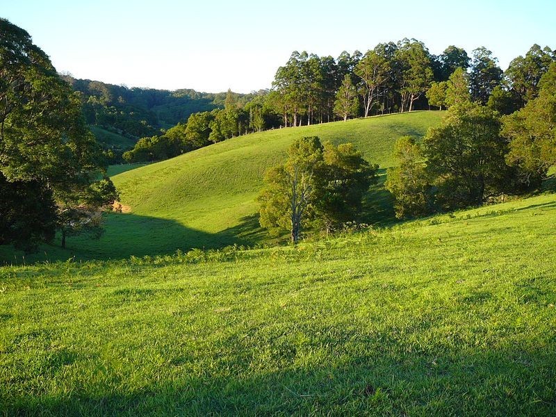 247 West Bulga Road, Elands NSW 2429