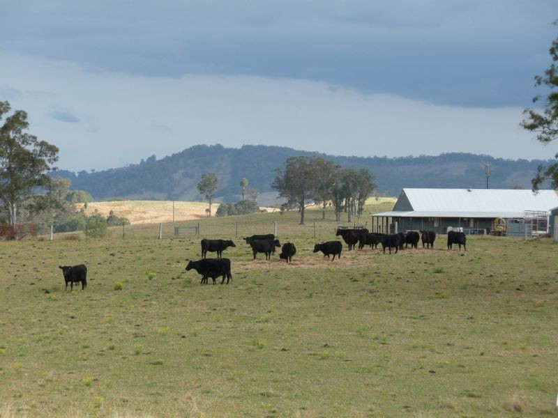 Wherrol Flat NSW 2429