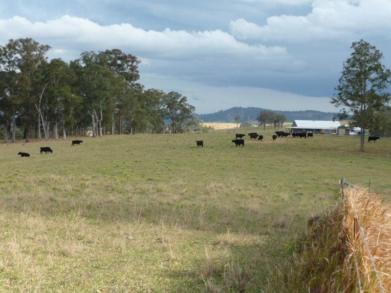 Wherrol Flat NSW 2429