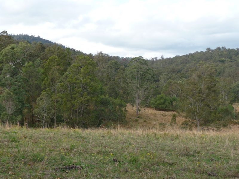 Wherrol Flat NSW 2429