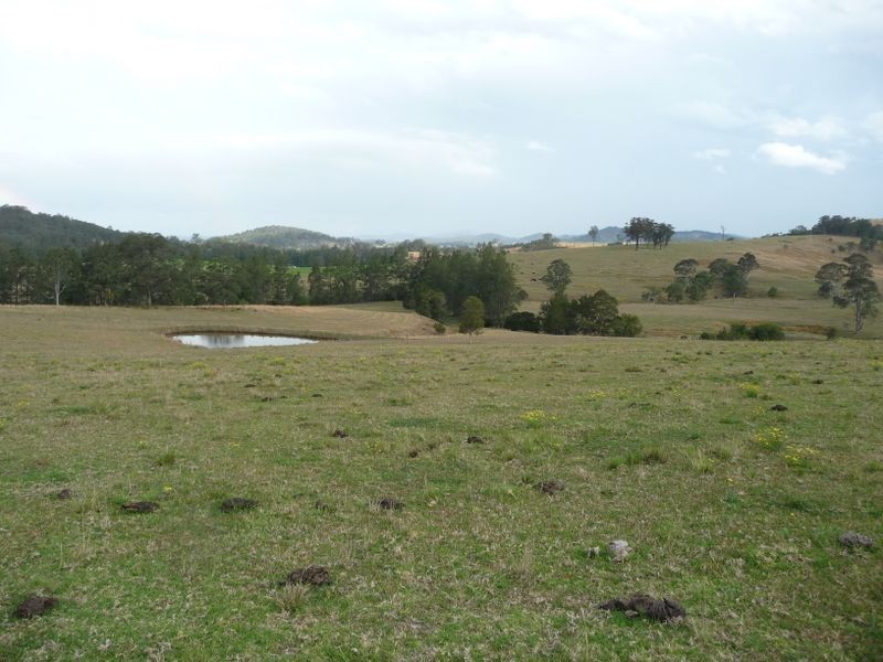 Wherrol Flat NSW 2429