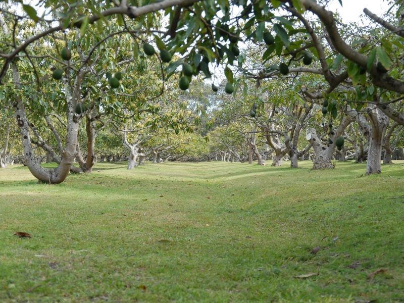 Oxley Island NSW 2430